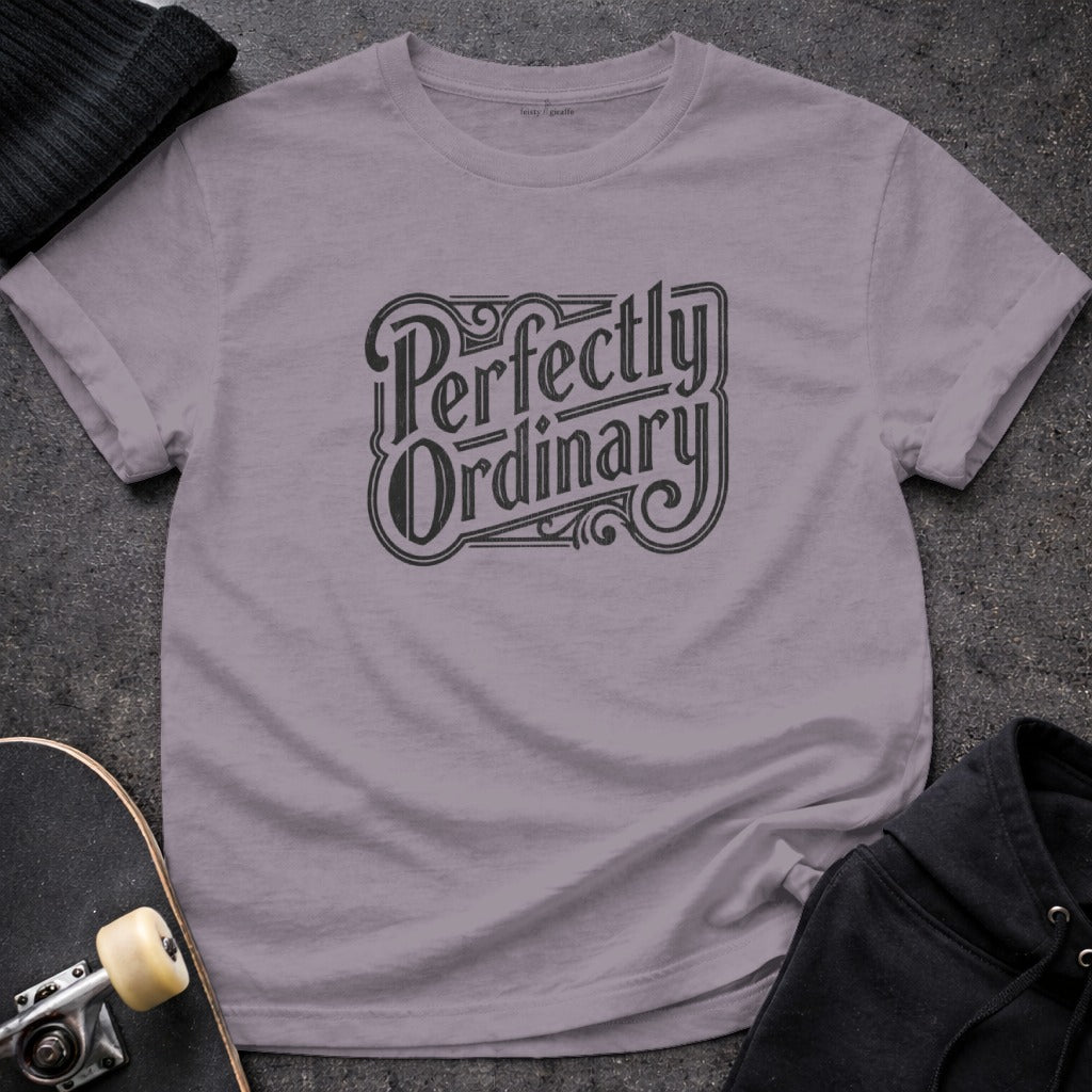 Perfectly Ordinary Graphic Tee Casual Everyday Shirt