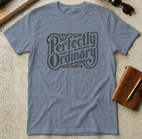 MyDesigns t-shirt S / Heather Indigo Perfectly Ordinary Tee